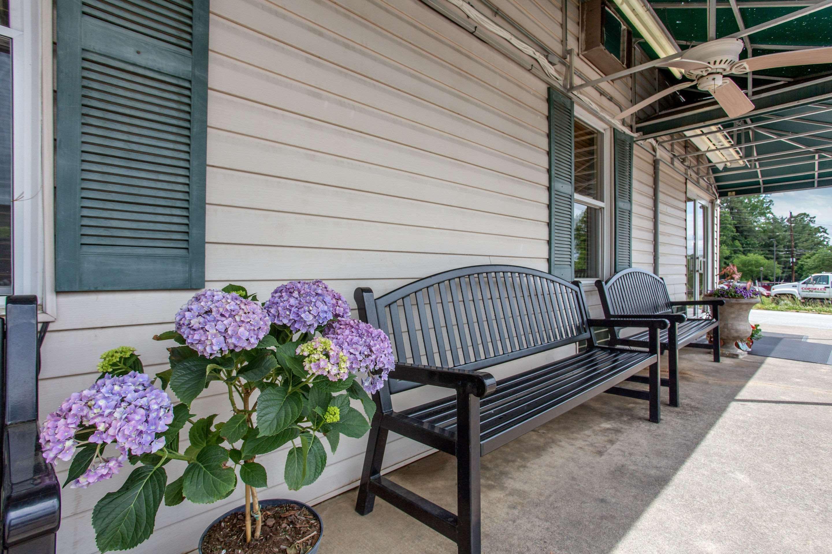 Rodeway Inn Asheville Eksteriør billede